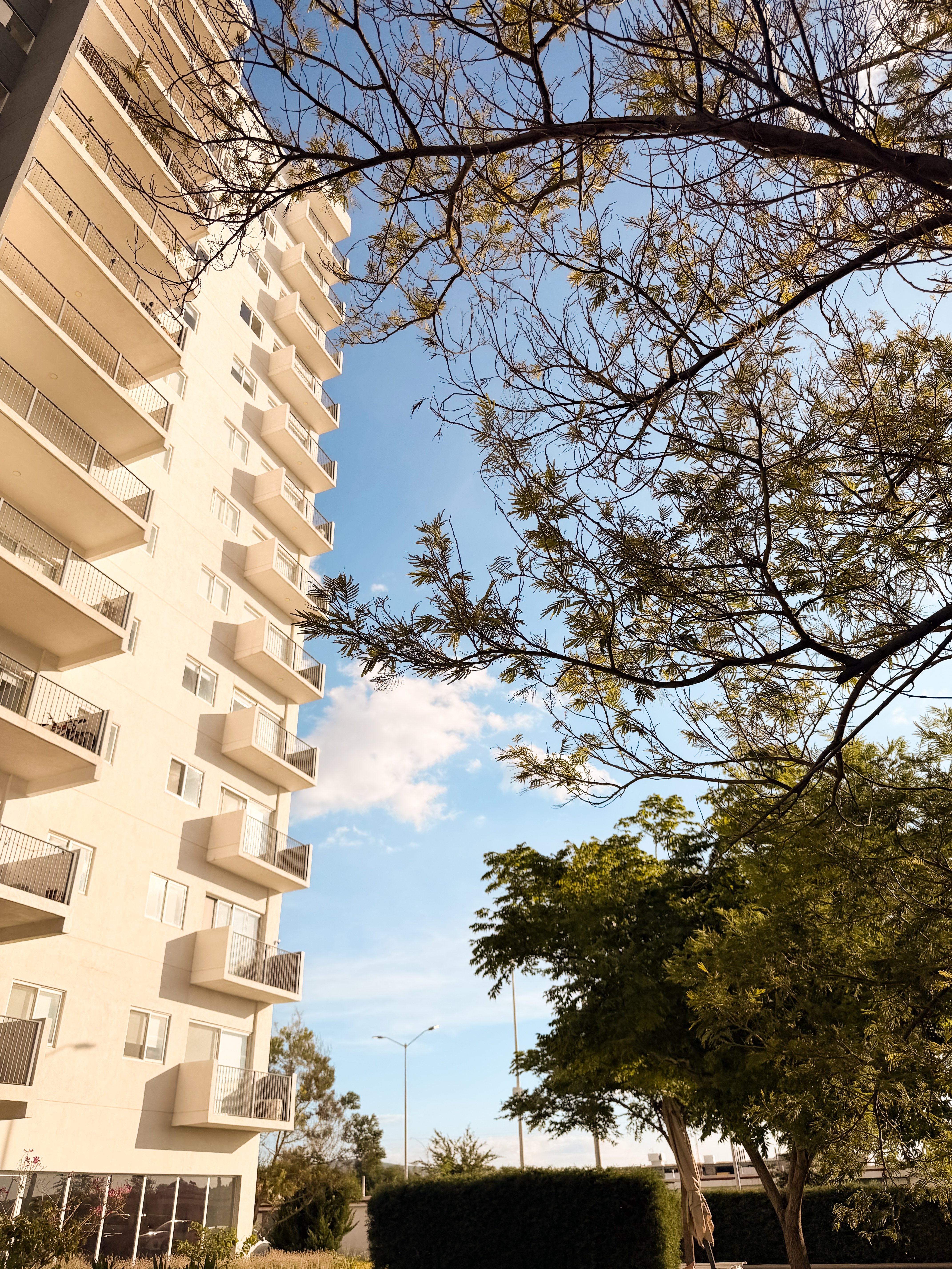 Stacia Towers